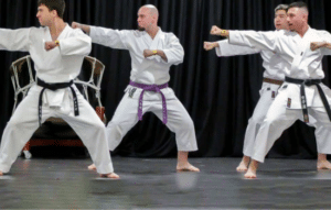Aprende Karate de forma práctica y gratuita