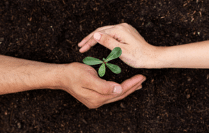 Aplicativos gratuitos para cuidar de tus plantas