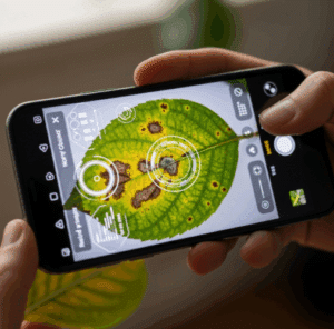 Salud Vegetal Instantánea con Nuestra App