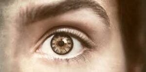 Descubre tu vida pasada con App Vidas Pasadas