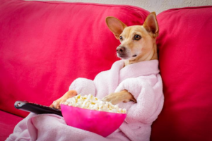 Mejor app para ver películas gratis en línea ahora mismo
